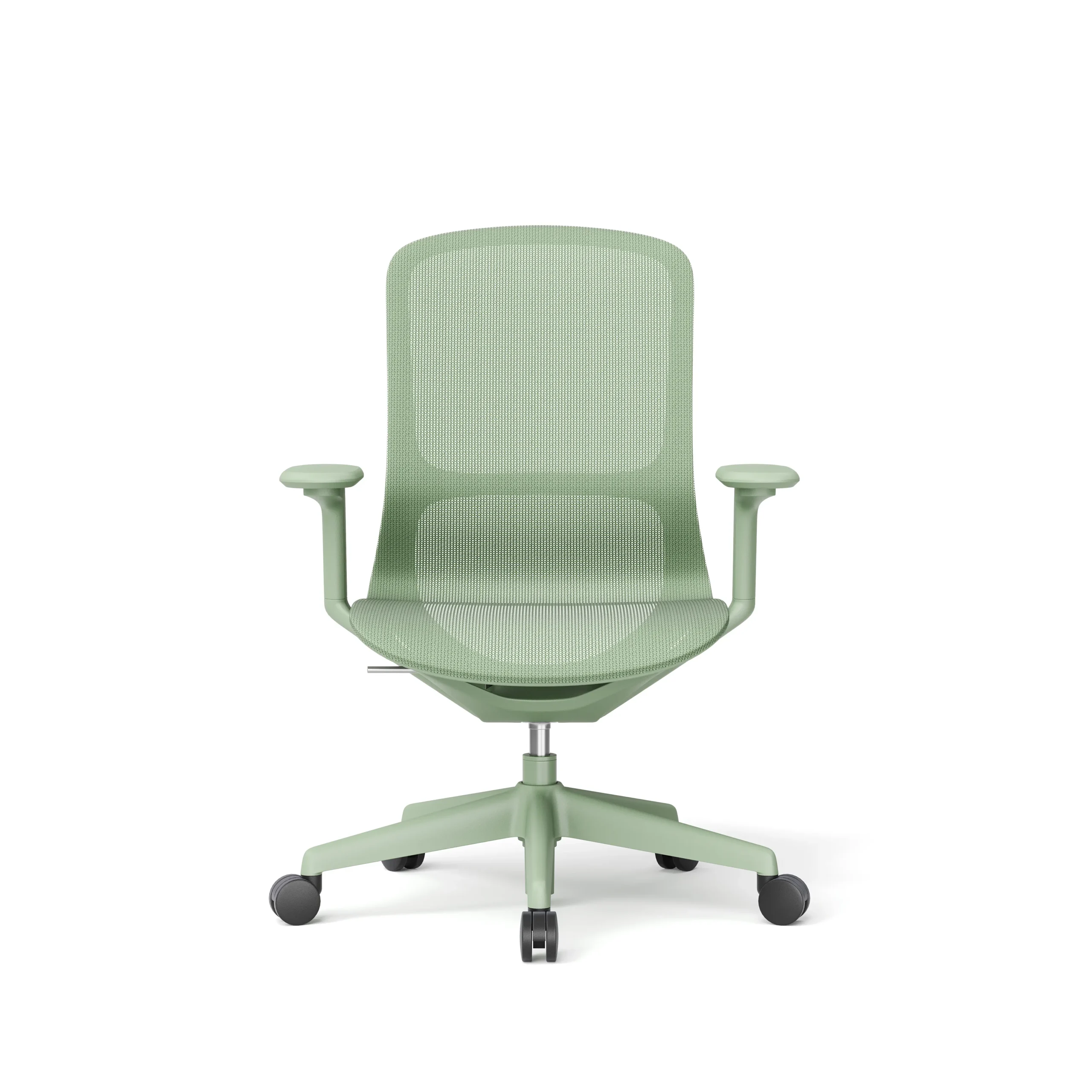 CAMELEON (16)