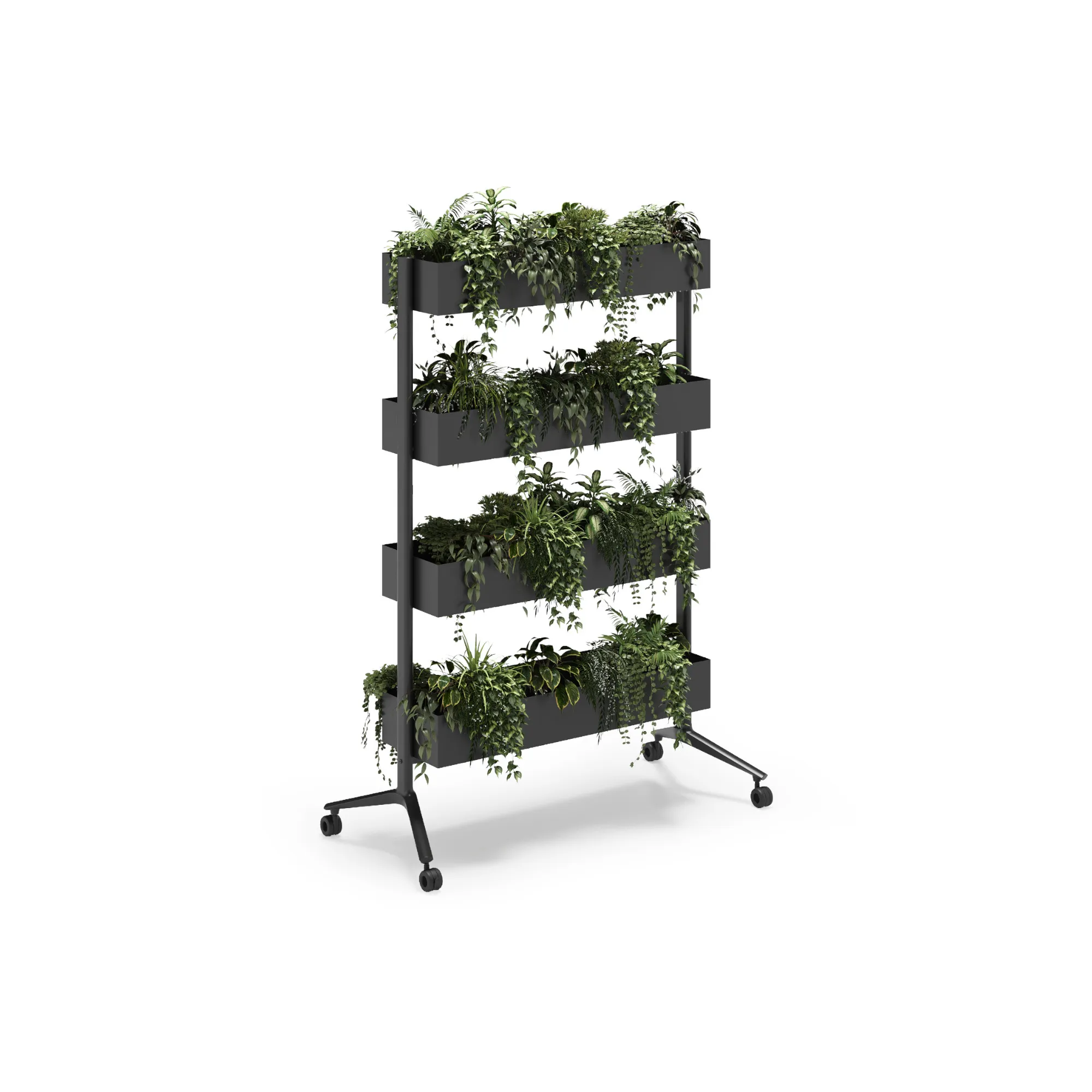 move&grow (2)_11zon